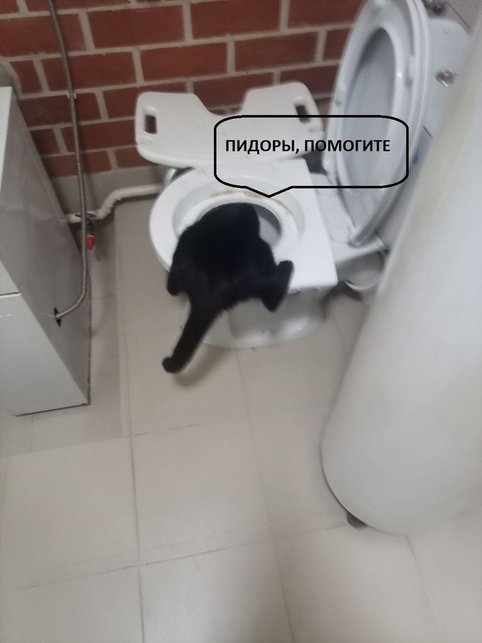,   .   ,  , , ,   , , ,  , ,  , , 