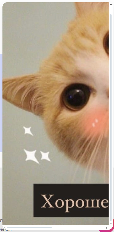 Котик милый, вопросов нет