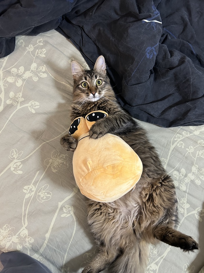 Лучшая домашняя булочка 🥰