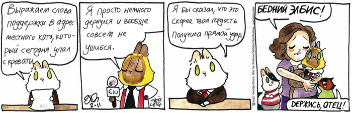 Котейкины Новости от 11.02.2025