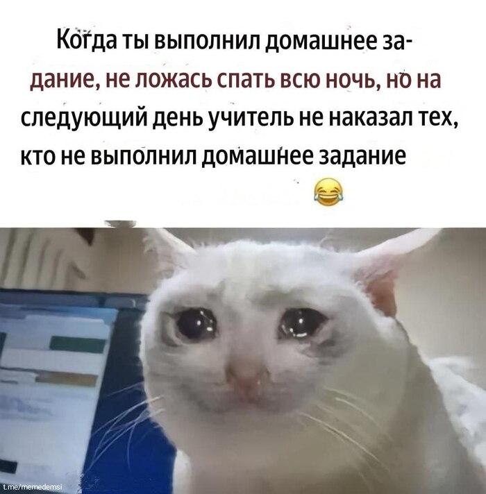   ,   , ,  , , Telegram (), 