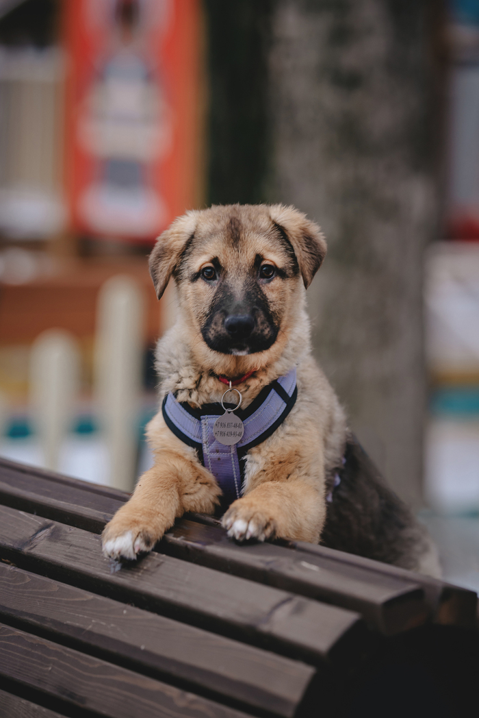 Продолжение поста «Варя ищет дом. Москва»