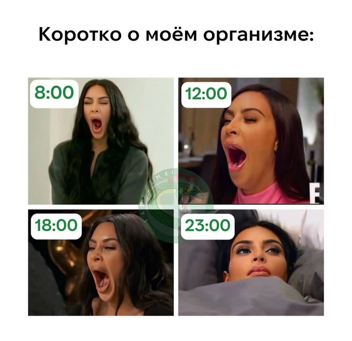 На злобу дня