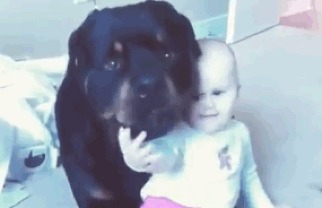 ������ � ������, ����� ������ ���������� �������, ������� � ����� ��� �����.