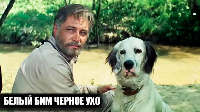    "   "    , , ,   ,  ,  ,  , ,  ,   (), 
