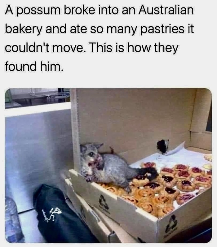  , , ,   ,   , , 