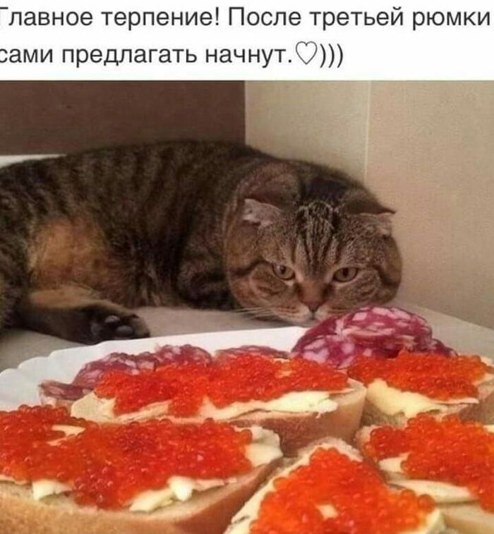  : 20       , , ,  , , ,   , , , 