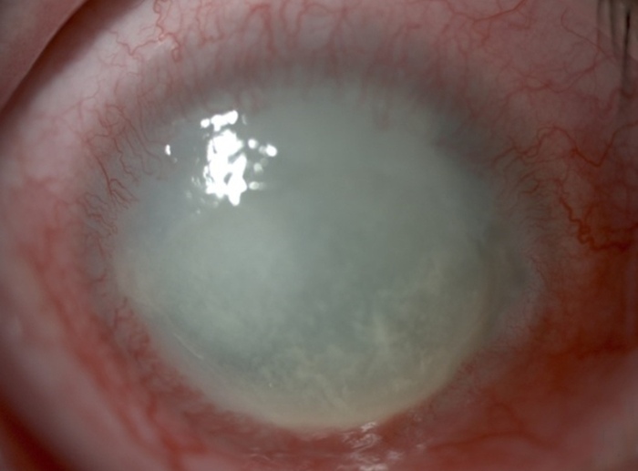 Фубля пост, на самом деле просвещение