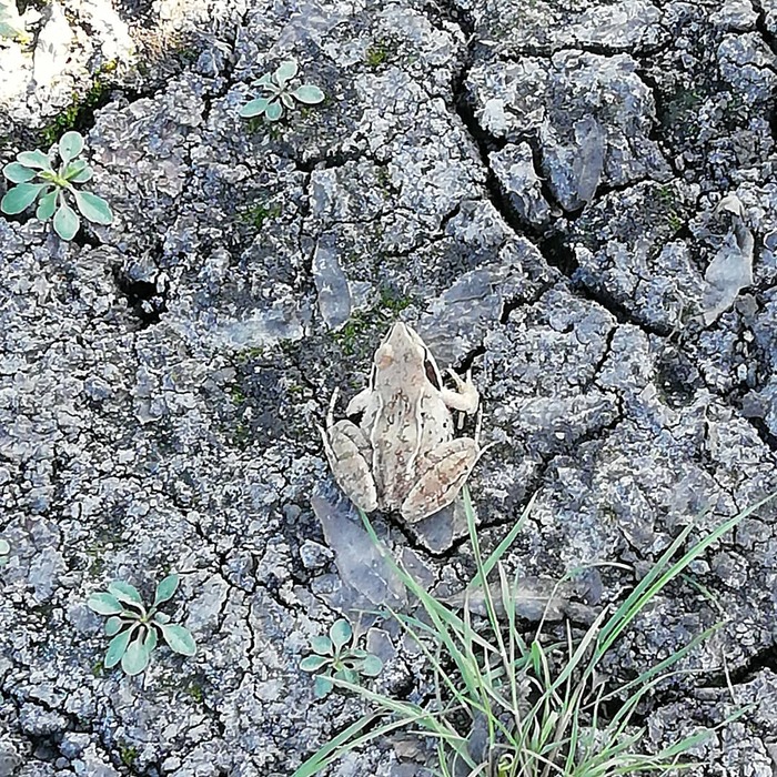 Это среда чуваки