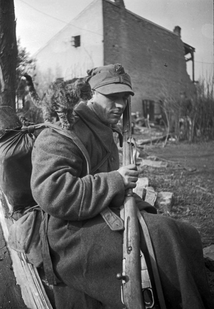 ������� ������ ���������, ����������� ��������� ������, � ������ �� �����. 1944-1945 ��.