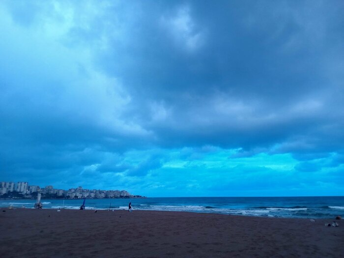      12.02.2025  -   ,   !