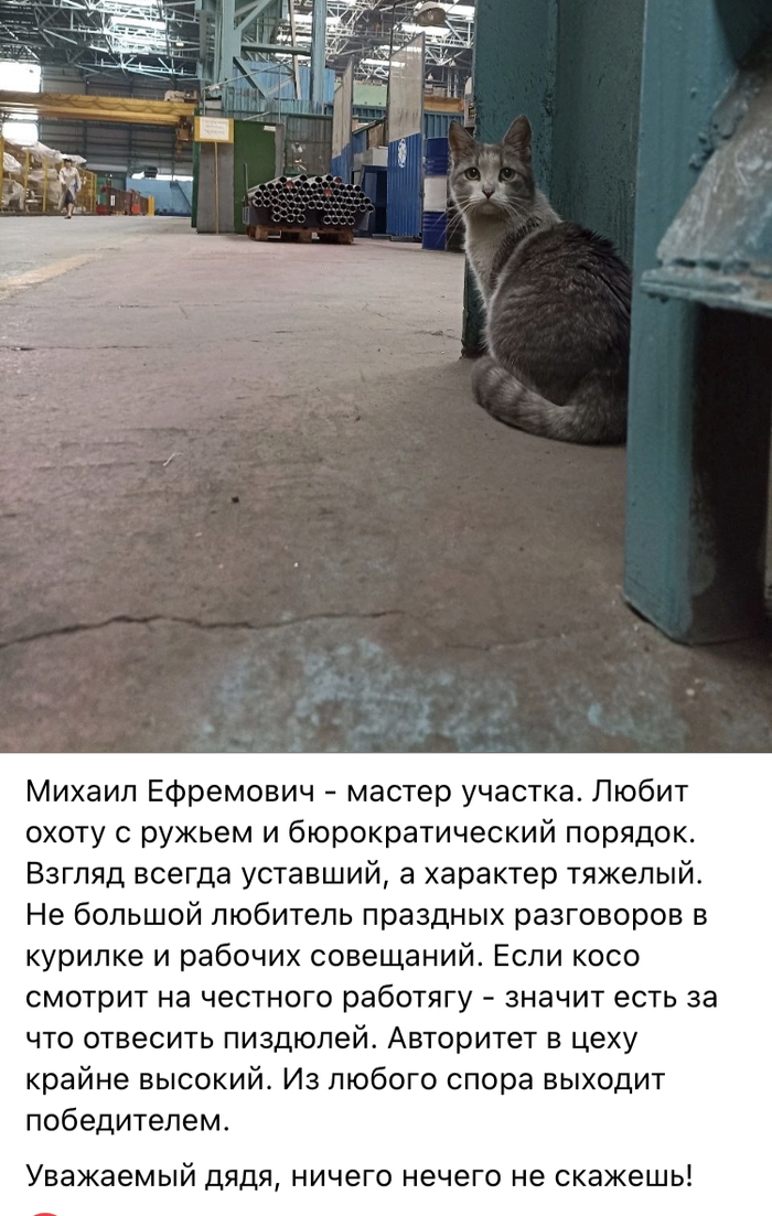      ,     , , ,   