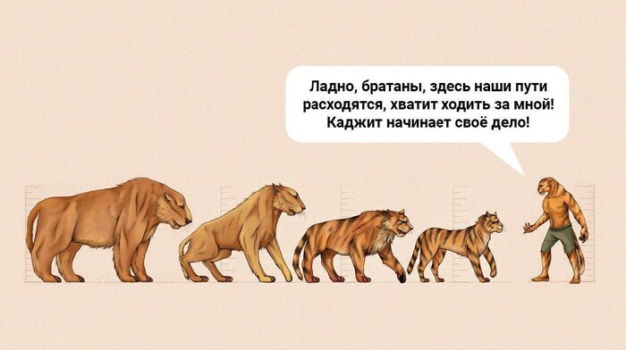 Эволюционный путь каджита. Древние свитки.