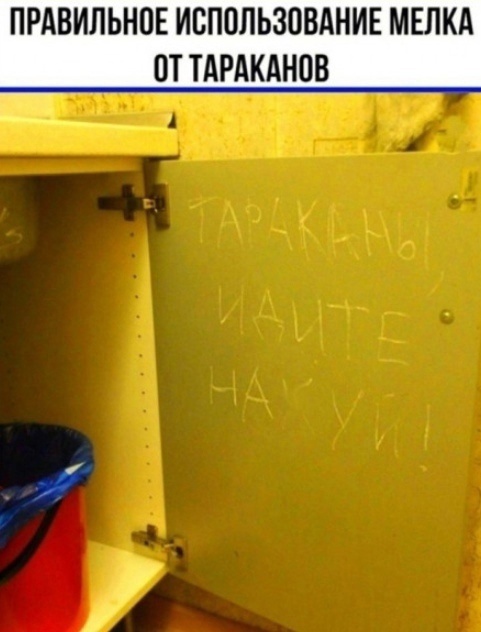   ,   , , , , , , 
