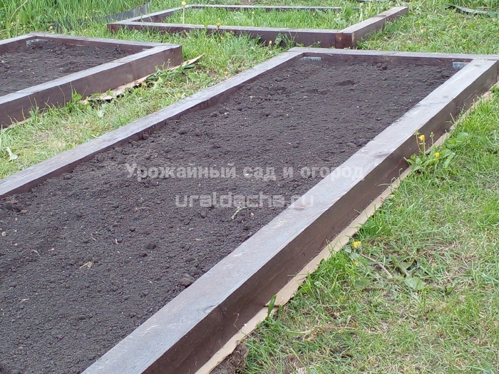 ©<!--noindex--><a href="https://pikabu.ru/story/chto_sazhayu_vesnoy_na_gryadke_posle_chesnoka_12367777?u=http%3A%2F%2FUralDacha.ru&t=UralDacha.ru&h=ececafad2fd7654ec2e41fd26cf547b722d8b688" title="http://UralDacha.ru" target="_blank" rel="nofollow noopener">UralDacha.ru</a><!--/noindex-->