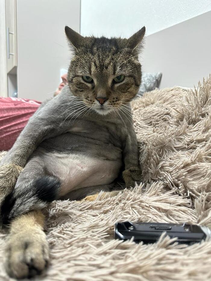 �� ����� ���� �� �������� �������, ������ ������ �����)