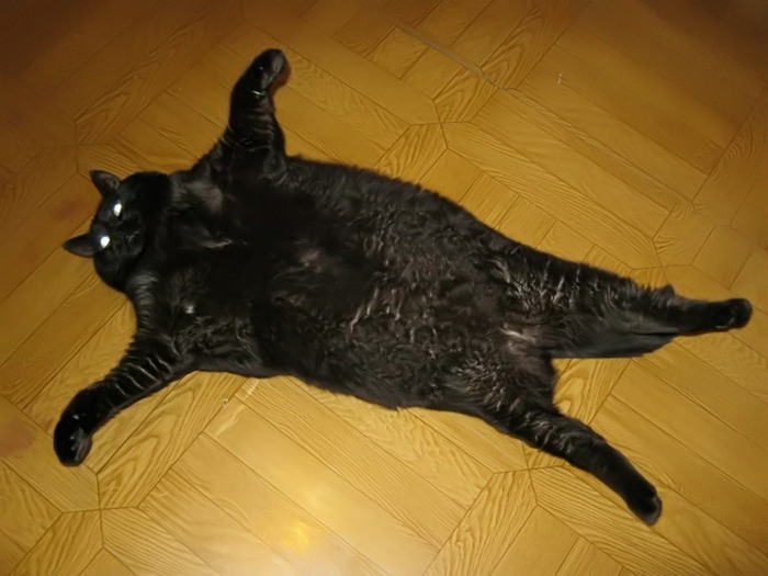  !  !  !   ,  ,  (), ,  