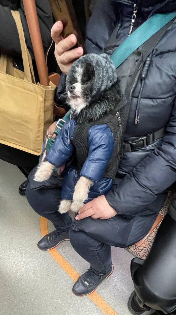 Пассажиры московского метро утром