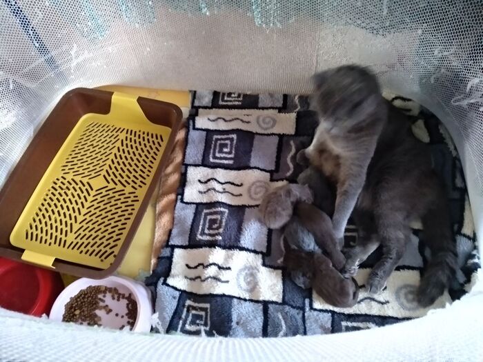 ������� 12.02.2025 ���� ��������� ������� ���� �� ��������� �� ���� � ������ 5 ������� �������. ������ ������. ���� �����, ���� ���������� � ���� ����������. �� ���� ��� �� ������ ��� ���� ������ "������ ���".