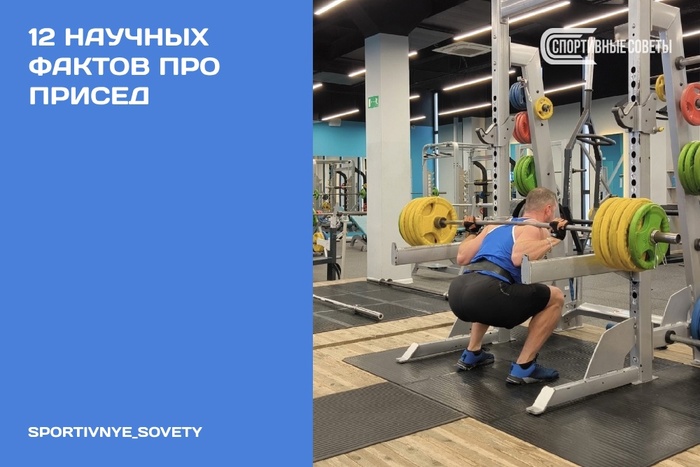 12 научных фактов про присед