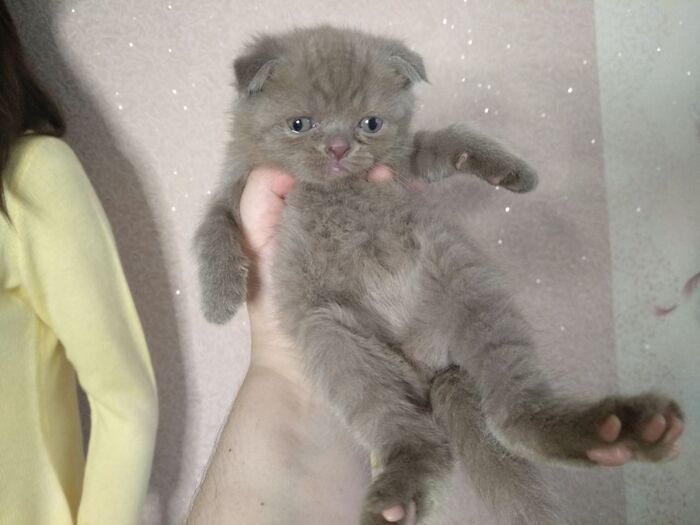 ������� �����. ��� �� ���� �����, � �� ����� ���� �������� ���������� �����.