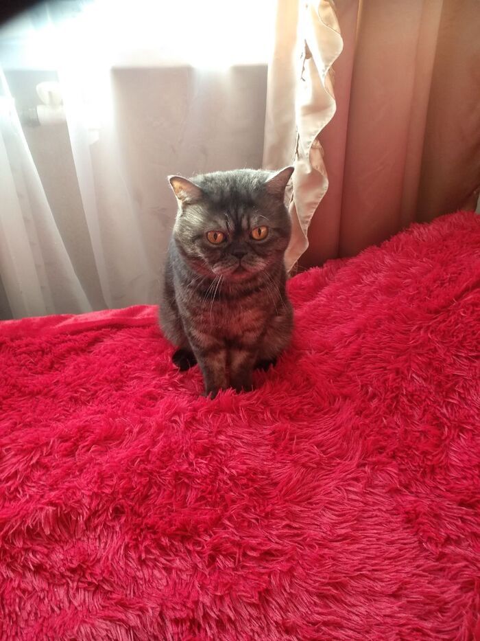 ������ - ������.