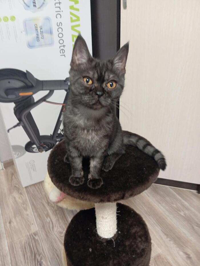 � ��� ��� �������� ���� ����� ������� ������� � ���� � ����� ����� ��������� � ������� ������ 8 �������.. ��� ����� ������� ���������� � ��� �������. ��� �� ������� � �������������. �������� ����� �����.