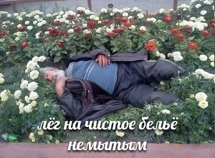  , , ,  , ,   