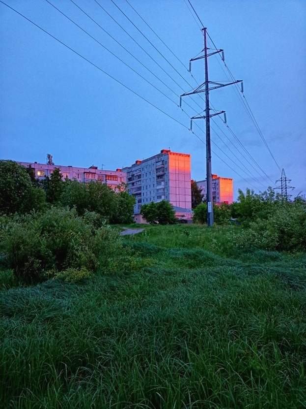 Вы, когда-нибудь задумывались, как пахнет жизнь?