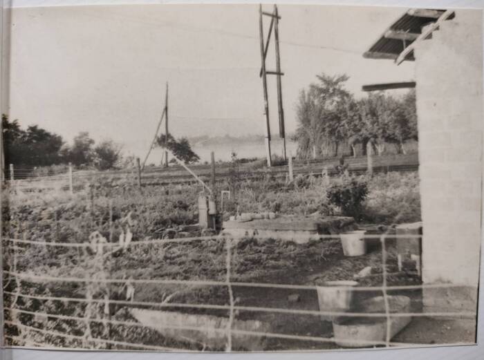     ().     ,    ,  .     - .