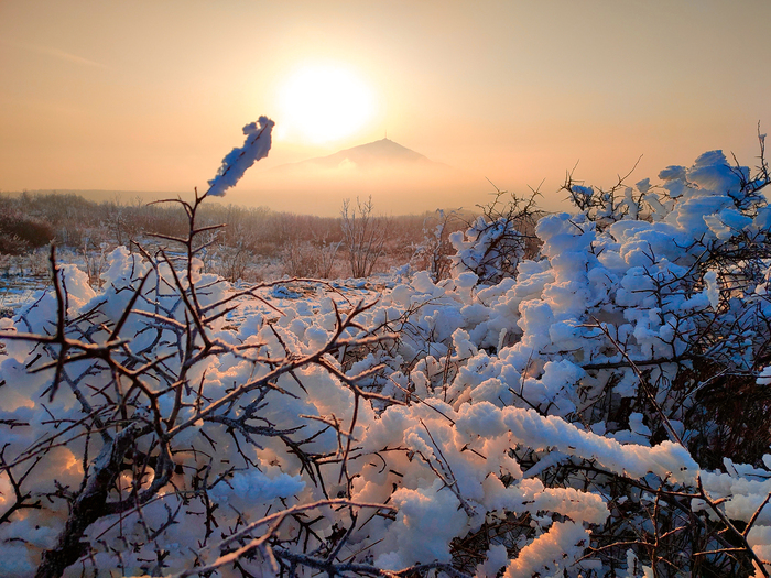 Утро туманное