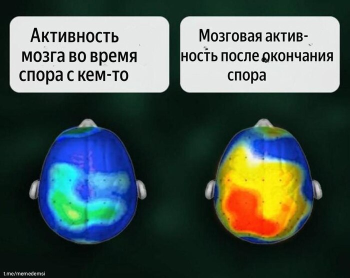  ,    ,   , , , Telegram ()