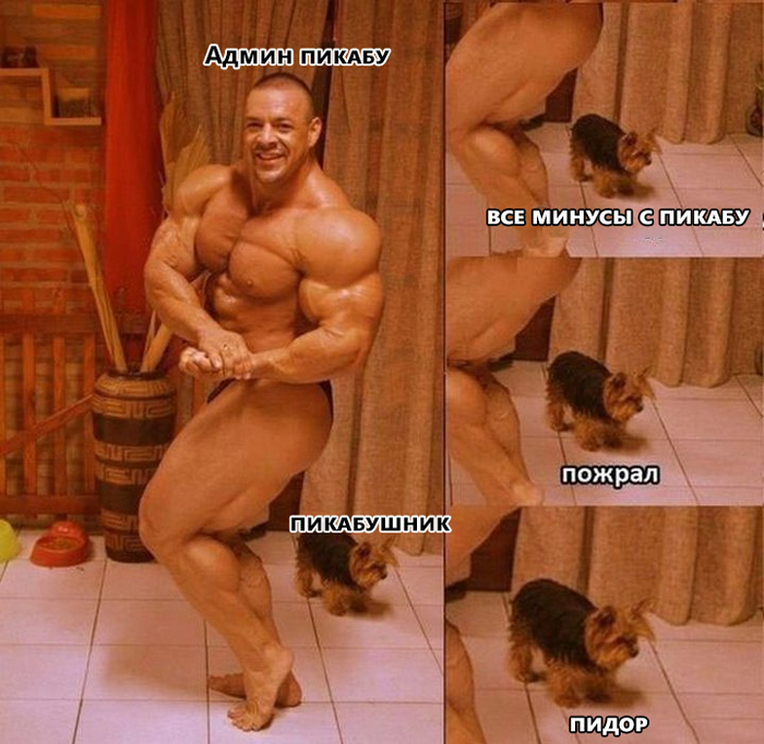 Админ пикабу