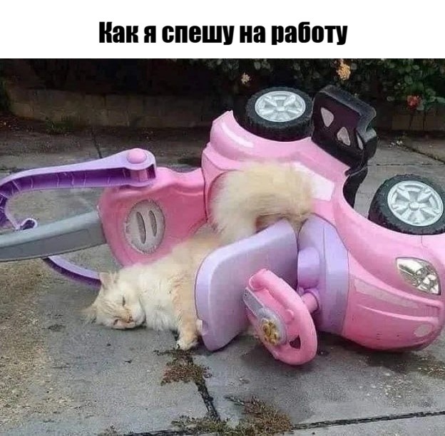 --!      , , ,   , 