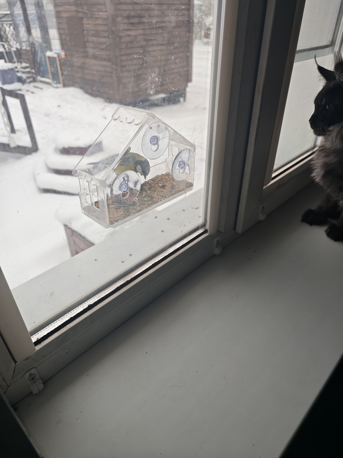    , , , -,  , , ,  , , , ,   , ,  ,  , 