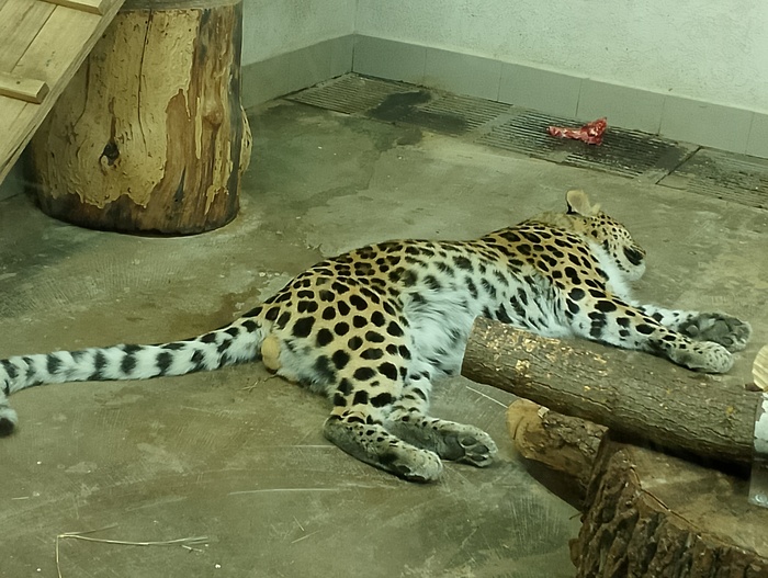    ,   )  +18  ? &#x1F601;