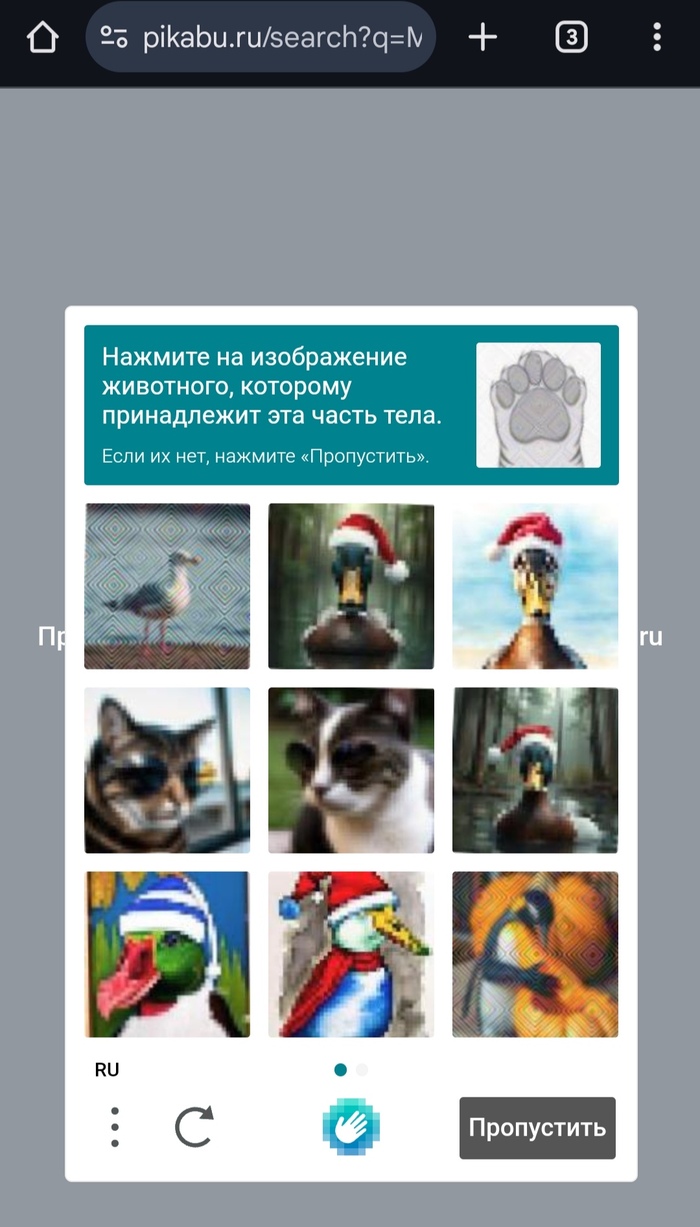 ����-���������������� ������