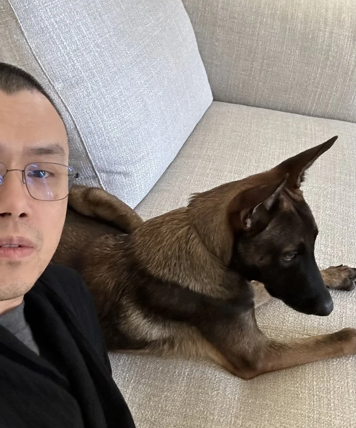 Binance creator's dog - Cryptocurrency, Binance, Cz, Bitcoins, Memecoins, Dog, Broccoli