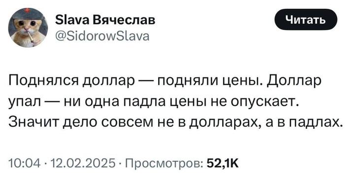 Все дело в падлах