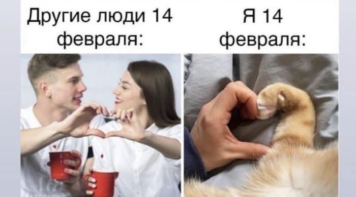 ������� �� ������� �������!