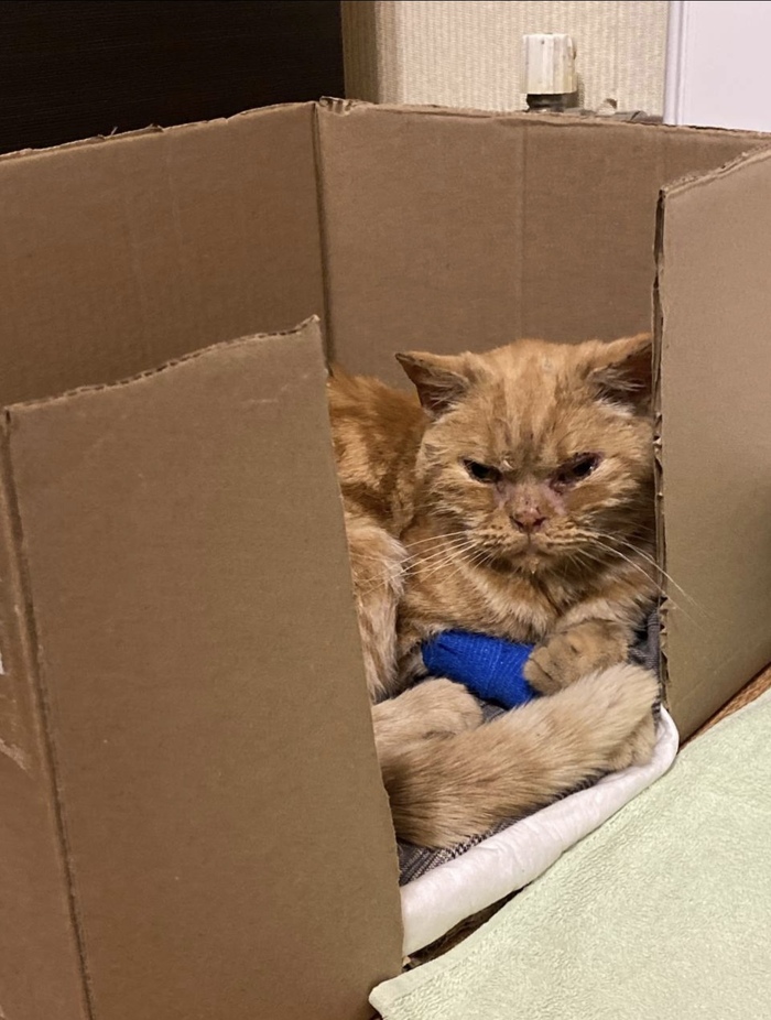 ������ �������� �����, �������� ����� �� �������)