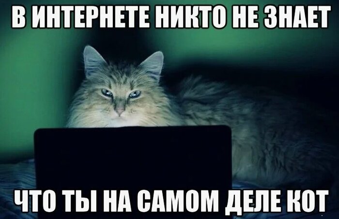 То чувство, когда не читаешь скрытый текст и не понимаешь при чём здесь котик. Ни при чём. Автор сошёл с ума.