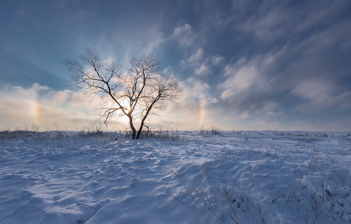 Морозное гало