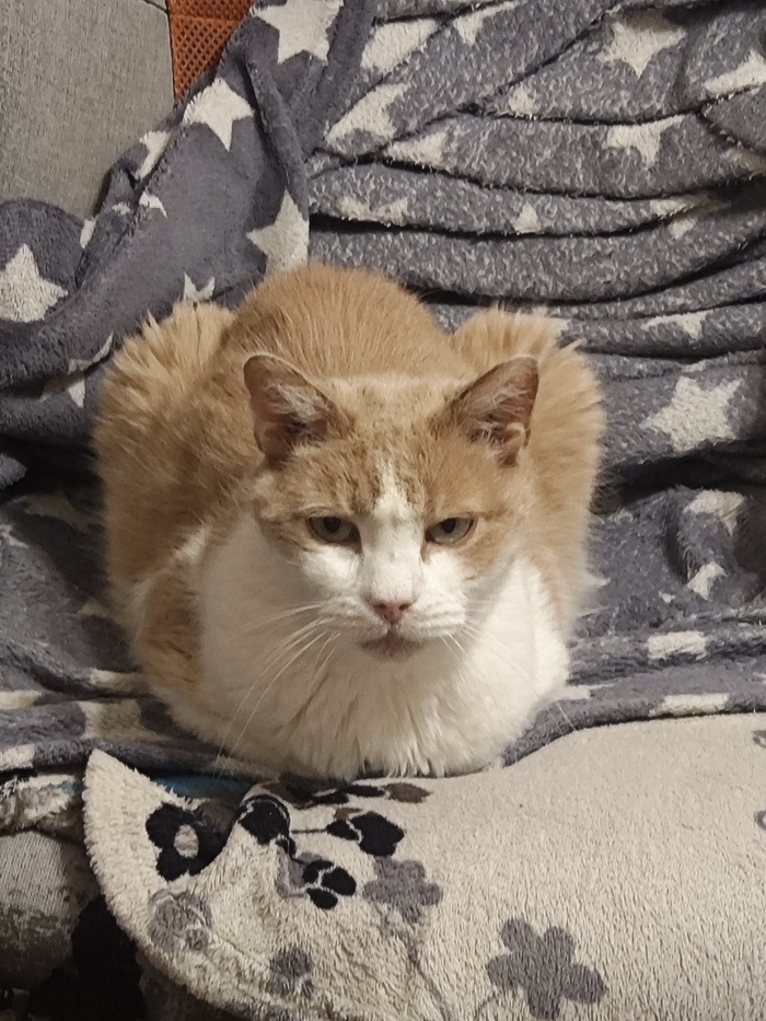 ������� �� ���� ������ ��� ���