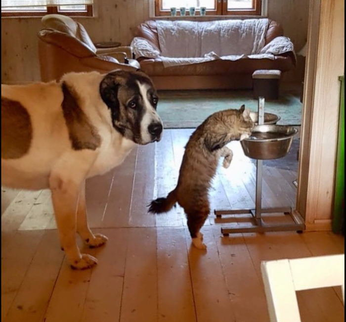 Их с нами нет уже, но в сердце навсегда