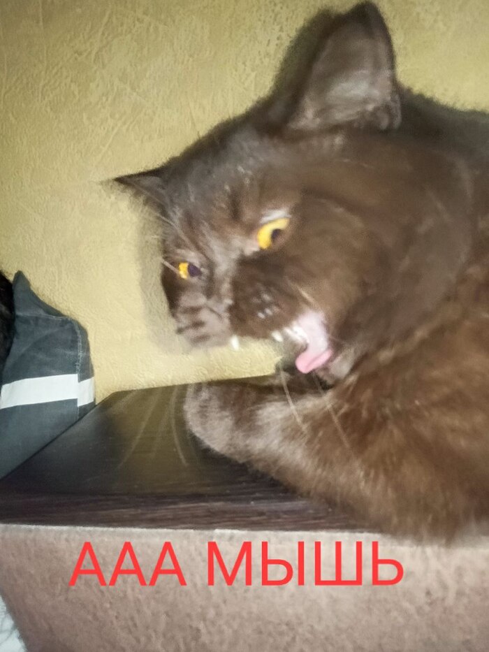 Неожиданно