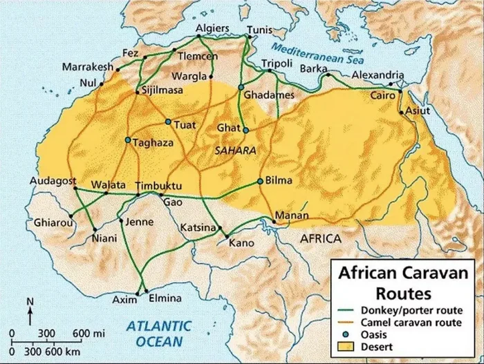Небанальные факты о Сахаре, в которые трудно поверить Сахара, Пустыня, География, Вокруг света, Яндекс Дзен, Яндекс Дзен (ссылка), Длиннопост, Сахель