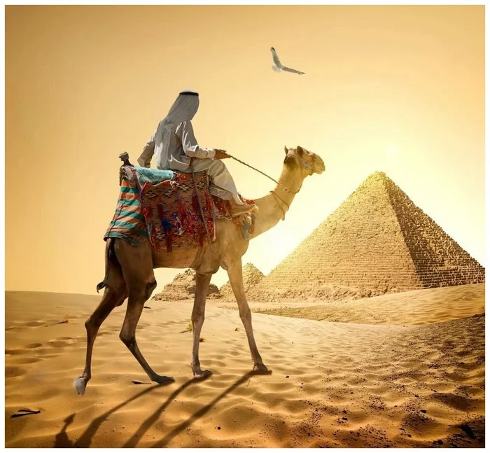 Небанальные факты о Сахаре, в которые трудно поверить Сахара, Пустыня, География, Вокруг света, Яндекс Дзен, Яндекс Дзен (ссылка), Длиннопост, Сахель