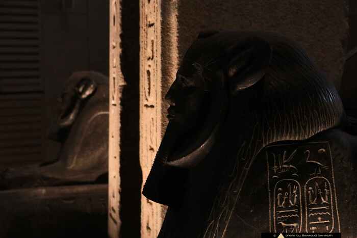 Аменемхет III