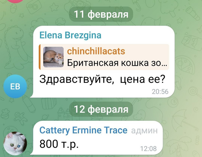        , , ,  , -,  ,   ,  ,  ,  ,  ,  ,  , , -, -, ,   